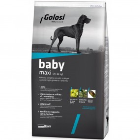 Golosi Dog Baby Maxi 12kg