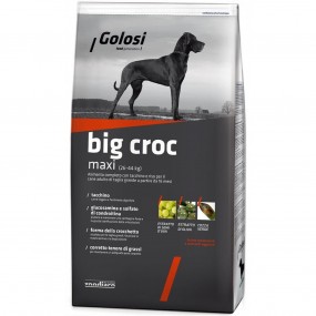 Golosi Dog Big Croc 12kg